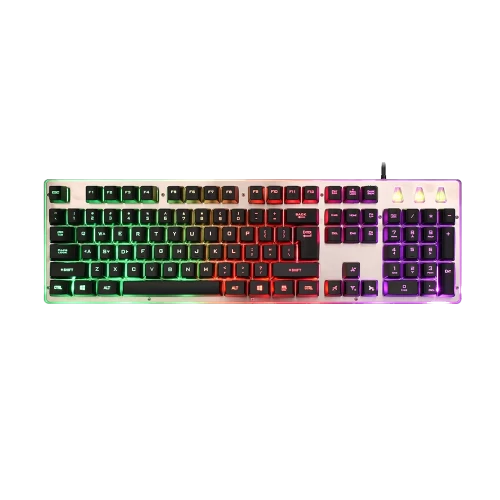 GK313